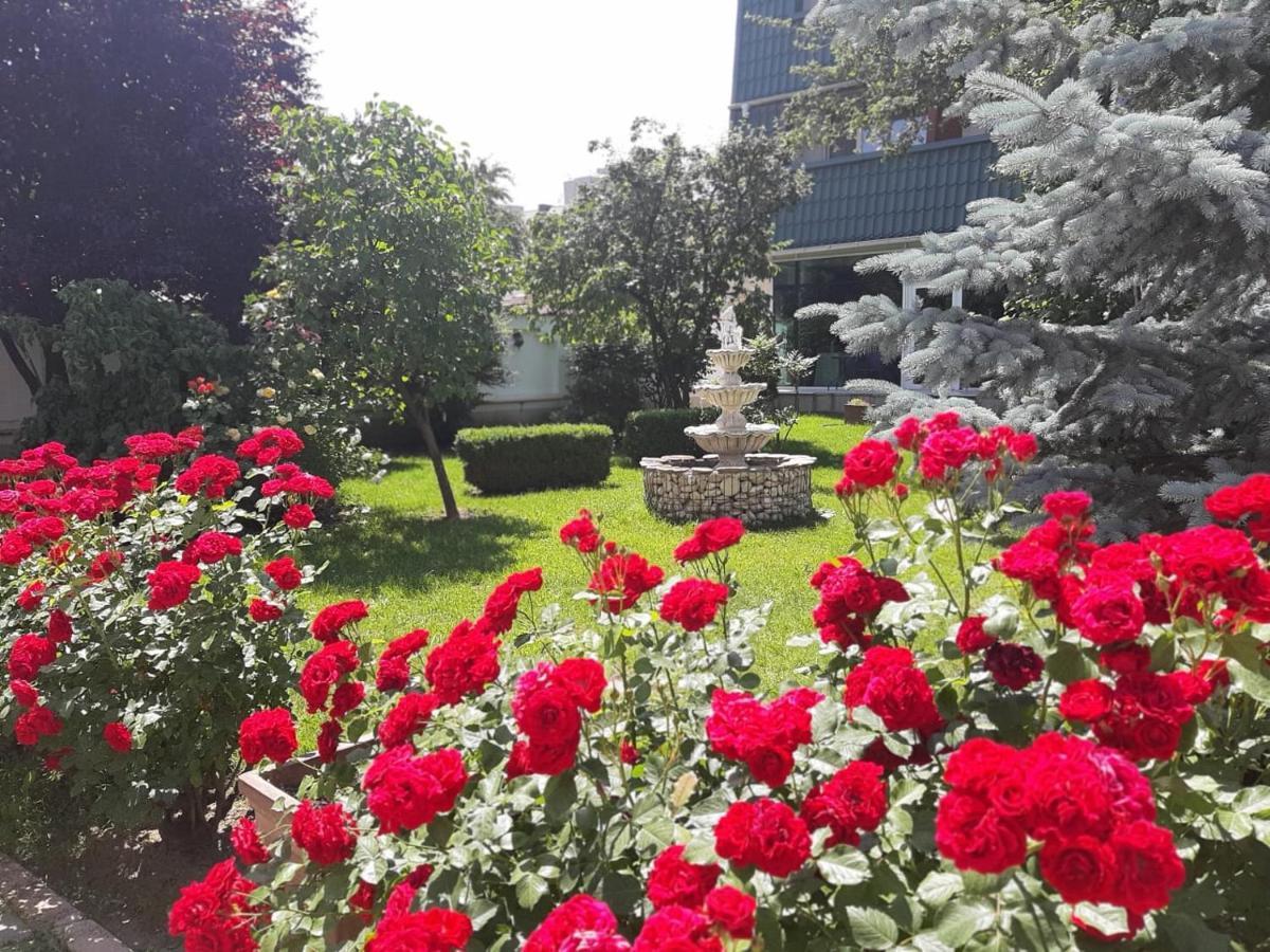 Hotel Jasmine Brasov Exterior photo